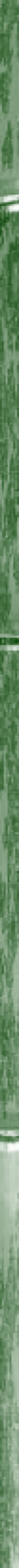 Taikiken bamboo side strip green