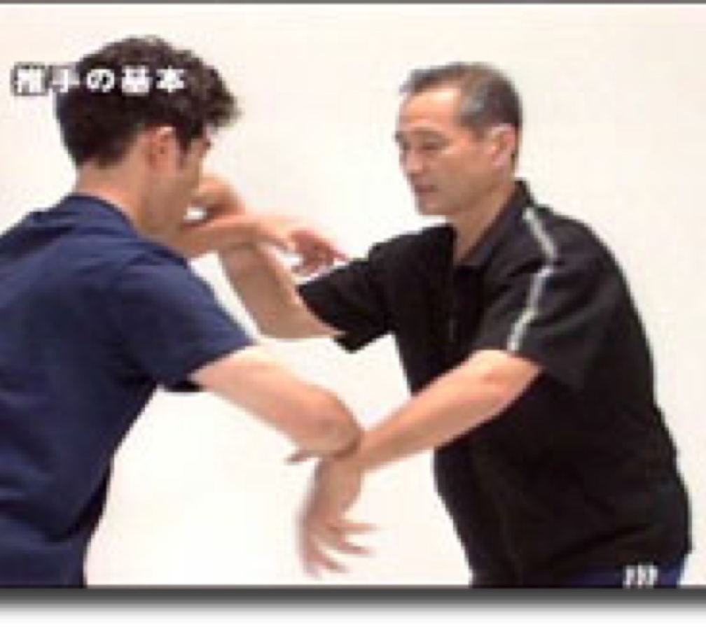 Satoshi Amano recently published an extended series of Taikikenpu instruction dvd&rsquo;s. 