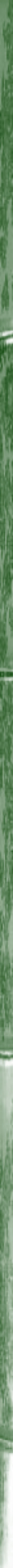 Taikiken green bamboo side stripe