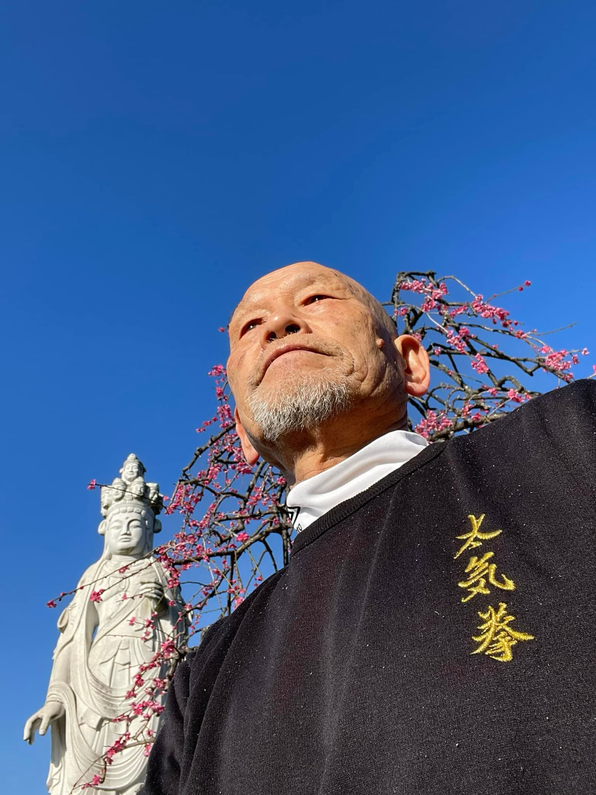 Yukio Ito Taikiken sensei portret