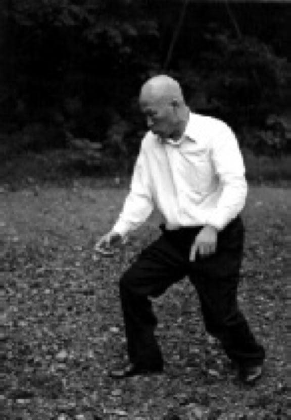 Master Kenichi Sawai Taikiken Hakkei.