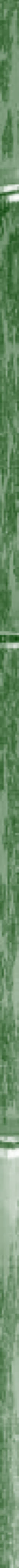 Taikiken side strip green bamboo