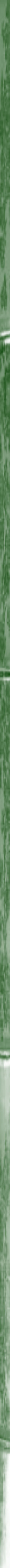 Side bar bamboo green