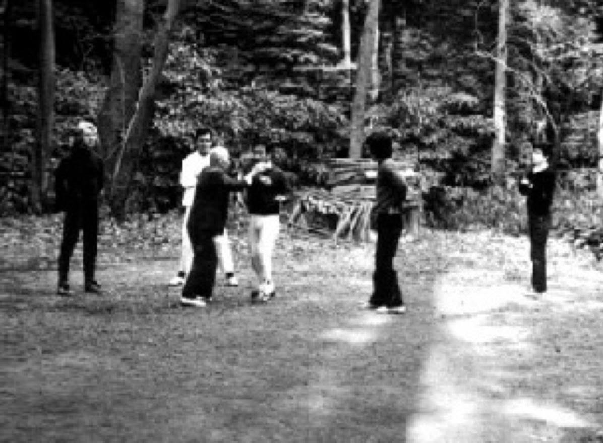 Sawai sensei and Ron Nansink Taikiken Meiji Jingu group. 